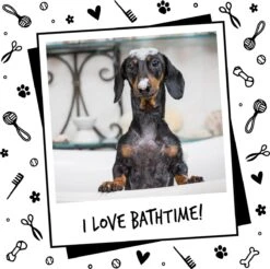 Bugalugs - Hondenshampoo - One In A Million - Alle Vachttypes - Fles Met Pompje - Vegan - 500 Ml -Hondenserie Winkel 1200x1196 16