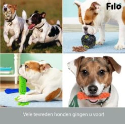 Filo Honden Speelgoed Set 14 Stuks - Hondenspeeltjes Knuffel - Hondenbal - Flostouw - Bot - Frisbee - Hondentouw - Hondenspeelgoed Intelligentie - Kauwspeelgoed Hond En Puppy - Bijtspeelgoed Hondenknuffel - Hondenspeeltje Met Piep 16 Filo Honden Speelgoed Set 14 Stuks - Hondenspeeltjes Knuffel - Hondenbal - Flostouw - Bot - Frisbee - Hondentouw - Hondenspeelgoed Intelligentie - Kauwspeelgoed Hond En Puppy - Bijtspeelgoed Hondenknuffel - Hondenspeeltje Met Piep -Hondenserie Winkel 1200x1197 13