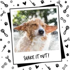 Bugalugs - Hondenshampoo - One In A Million - Alle Vachttypes - Fles Met Pompje - Vegan - 500 Ml -Hondenserie Winkel 1200x1197 23