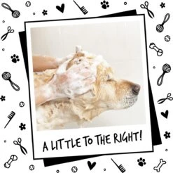 Bugalugs - Hondenshampoo - One In A Million - Alle Vachttypes - Fles Met Pompje - Vegan - 500 Ml -Hondenserie Winkel 1200x1197 25