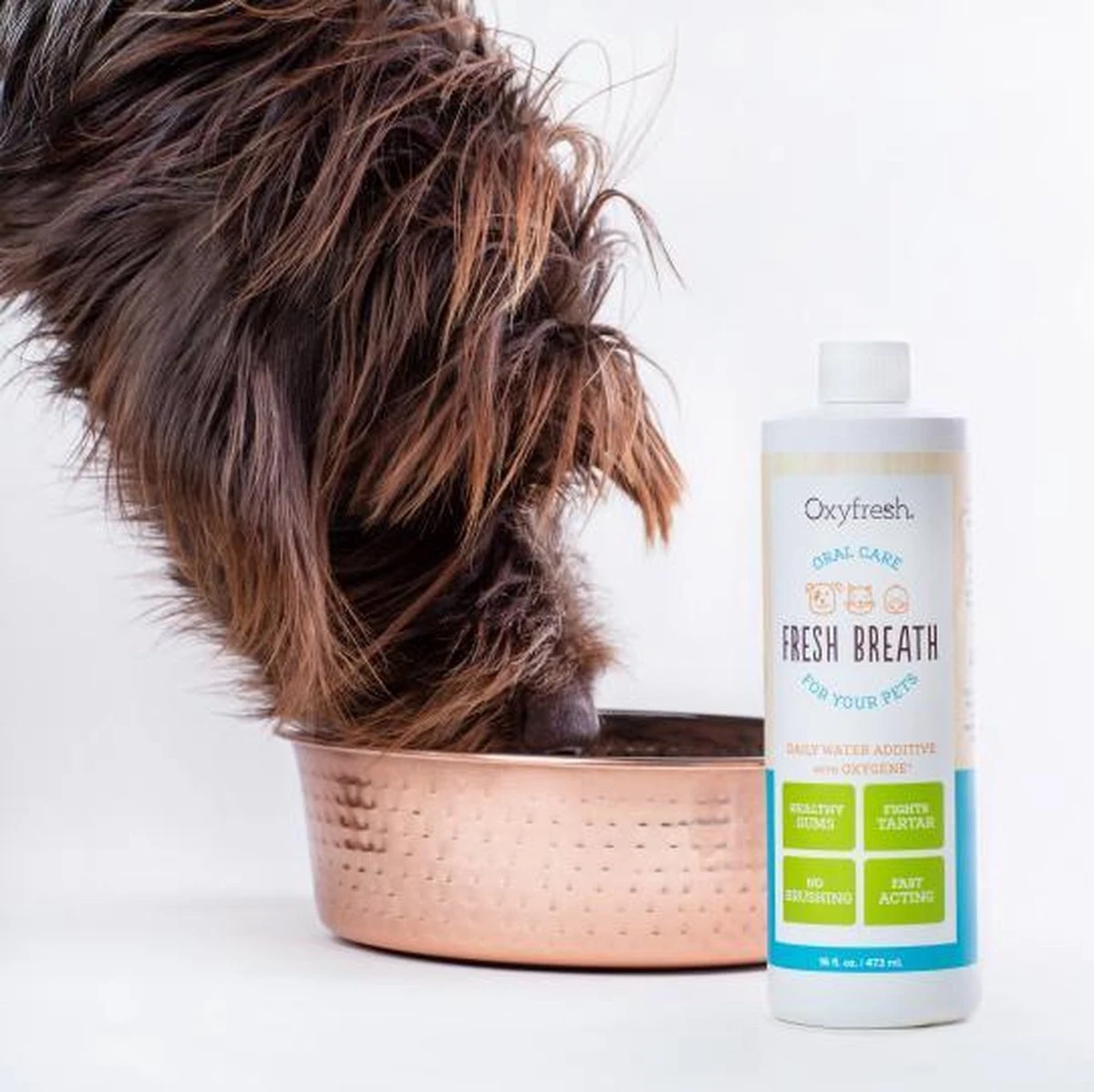 OxyFresh Pet Mondwater Hond En Kat. Helpt Tegen Tandsteen, Plak En Vieze Ademgeurtjes 4 OxyFresh Pet Mondwater Hond En Kat. Helpt Tegen Tandsteen, Plak En Vieze Ademgeurtjes - Afbeelding 2