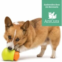 West Paw Toppl Zogoflex - Uitdagend En Sterk Speelgoed Voor Honden - Slowfeeder - Vulbaar Met Voer Of Snacks - Kleur: Groen, Maat: Large 31 West Paw Toppl Zogoflex - Uitdagend En Sterk Speelgoed Voor Honden - Slowfeeder - Vulbaar Met Voer Of Snacks - Kleur: Groen, Maat: Large -Hondenserie Winkel 1200x1198 10