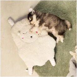 Beeztees Puppy Sjiepo - Hondenspeelgoed - Wit - 40x22x5 Cm 16 Beeztees Puppy Sjiepo - Hondenspeelgoed - Wit - 40x22x5 Cm -Hondenserie Winkel 1200x1198 11