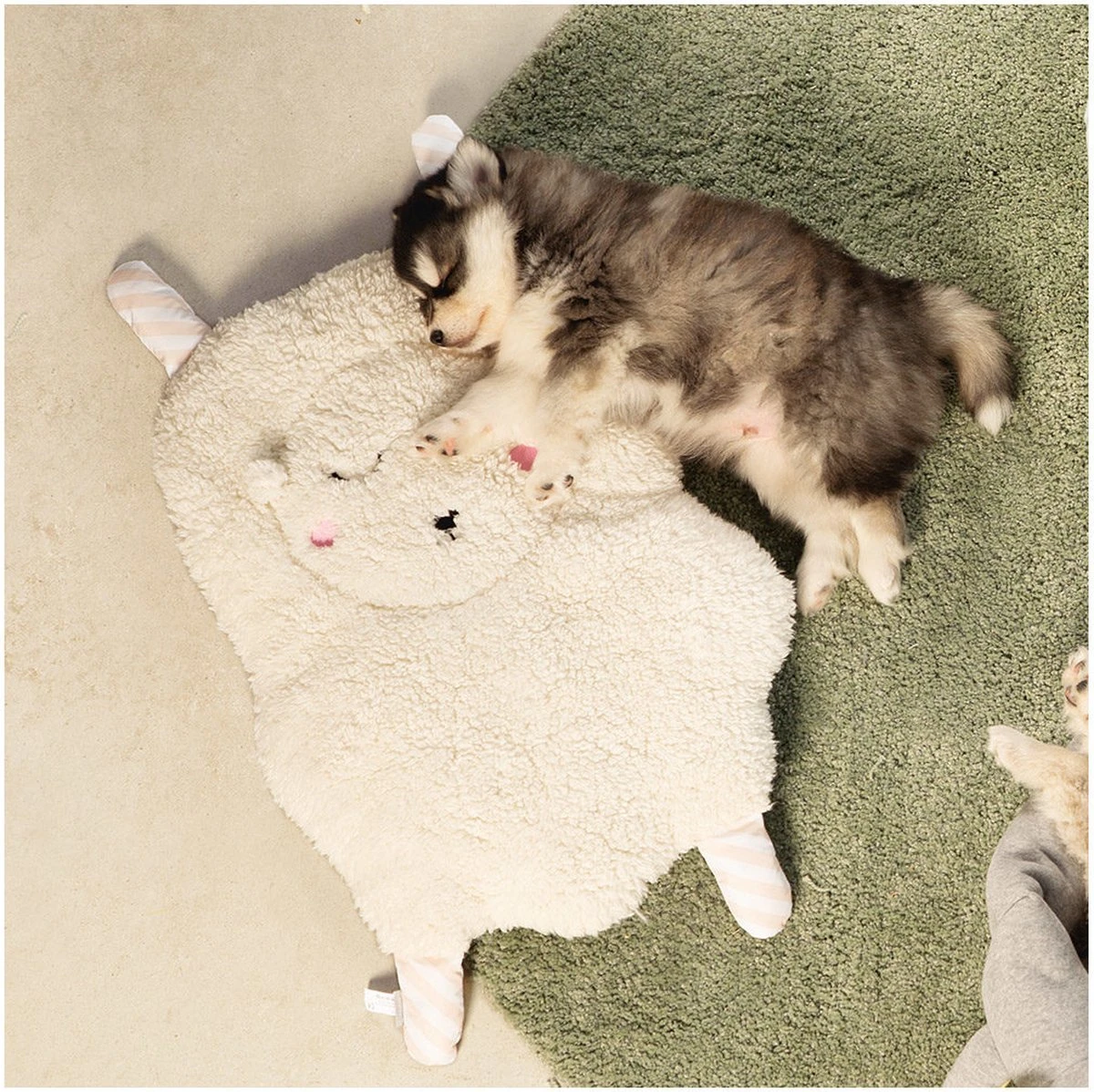 Beeztees Puppy Sjiepo - Hondenspeelgoed - Wit - 40x22x5 Cm 9 Beeztees Puppy Sjiepo - Hondenspeelgoed - Wit - 40x22x5 Cm - Afbeelding 7