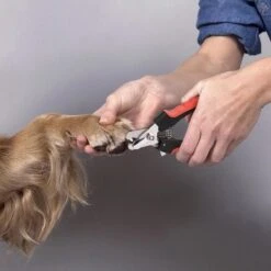 Merkloos Professionele Nagelschaar - Dieren Nagelschaar - Rood & Zwart - Honden Nagelknipper - Hondennagels - Honden Knip Schaar - Honden Knipsch -Hondenserie Winkel 1200x1198 25