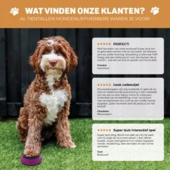 Vulpes Pets® PRO Praatknop Voor Honden - Dogbuttons - Laat Uw Huisdier Spreken - Hondenspeelgoed - Honden Training - Incl. E-Book & Trainingsstickers 22 Vulpes Pets® PRO Praatknop Voor Honden - Dogbuttons - Laat Uw Huisdier Spreken - Hondenspeelgoed - Honden Training - Incl. E-Book & Trainingsstickers -Hondenserie Winkel 1200x1198 6
