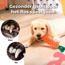 Luxury Diversity - Honden Speelgoed - 12 Honden Speeltjes - Puppy Speelgoed - Honden - Honden Speelgoed Intelligentie -Hondenserie Winkel 1200x1199 12