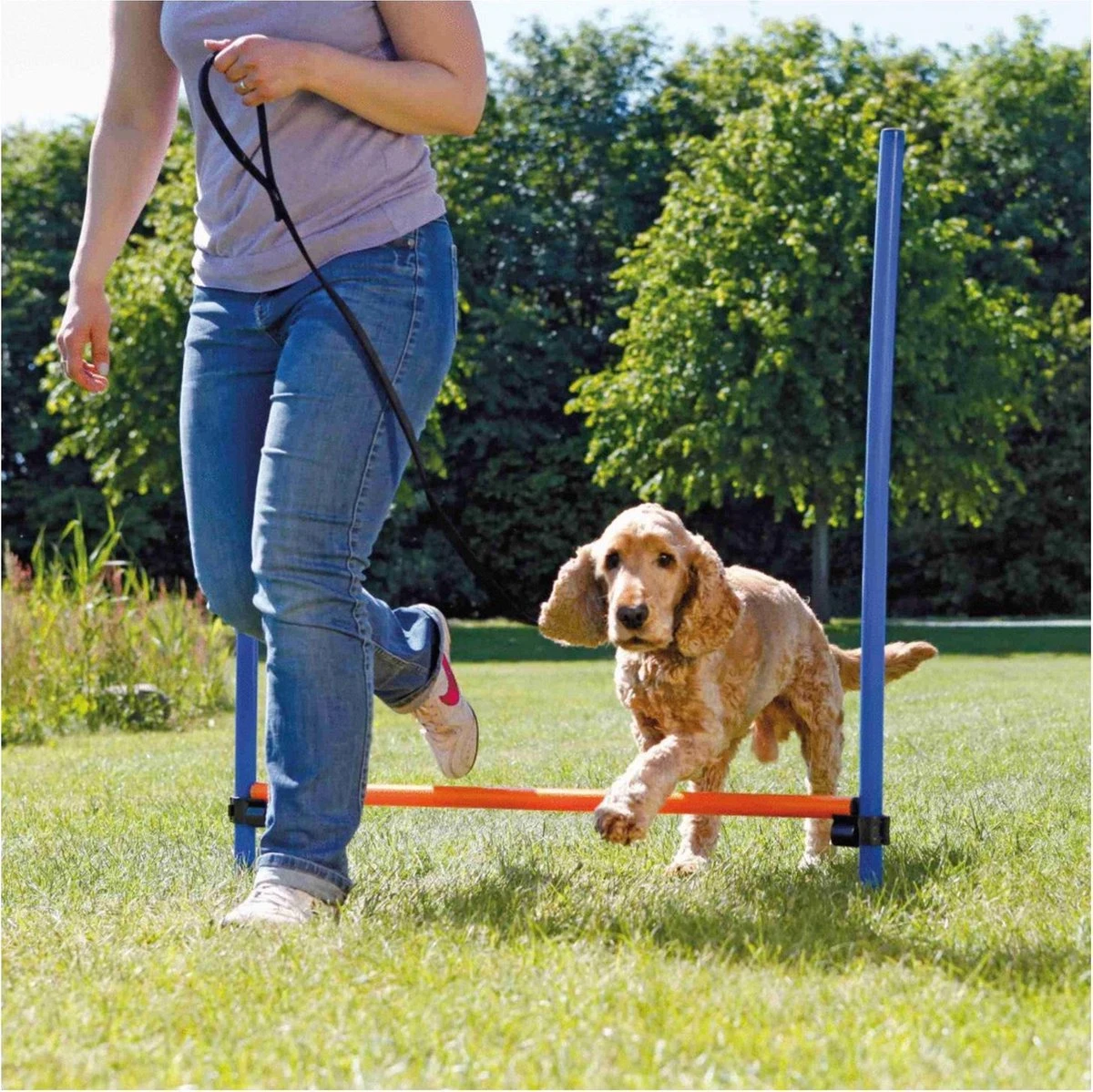 Trixie Dog Activity Agility Horde - Blauw/Oranje - 123 X 115 X 3 Cm 4 Trixie Dog Activity Agility Horde - Blauw/Oranje - 123 X 115 X 3 Cm - Afbeelding 2