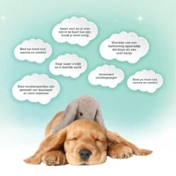 Cozy Dog Bunny Hondenknuffel – Knuffel Hond Met Hartslag – Hondenspeelgoed Vermindert Verlatingsangst – Biedt Rust, Warmte En Comfort – Bruin – Speciaal Voor Puppy's 9 Cozy Dog Bunny Hondenknuffel – Knuffel Hond Met Hartslag – Hondenspeelgoed Vermindert Verlatingsangst – Biedt Rust, Warmte En Comfort – Bruin – Speciaal Voor Puppy's -Hondenserie Winkel 1200x1199 17