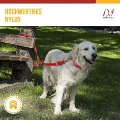 Happilax Dog Leash 2m Adjustable - Red / Reflective - 3-Step Adjustable Leash - Double Leash, Tug Leash - Geschikt Als Hondenriem Voor Grote Honden Of Als Sleepriem Voor Kleine Honden. -Hondenserie Winkel 1200x1199 28