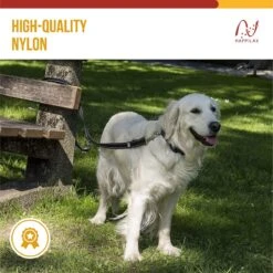 Happilax Dog Leash 2m Adjustable - Black/Reflective - 3-Step Adjustable Leash - Double Leash, Tug Leash - Geschikt Als Hondenriem Voor Grote Honden Of Als Sleepriem Voor Kleine Honden. -Hondenserie Winkel 1200x1199 29