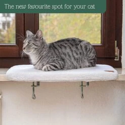 Pfotenolymp® Premium Window Baars/Krabmat Voor Katten Bij Het Raam - Vensterbank/Kattenbank Voor De Vensterbank - Zit/Ligstoel Voor Katten -Hondenserie Winkel 1200x1199 3