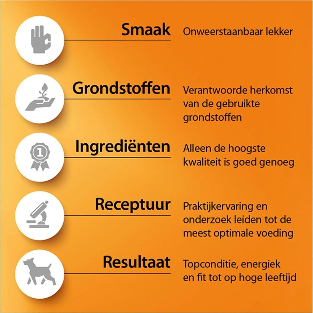 Fokker Dog Opti-Grow S Kip - Hondenvoer - 2.5 Kg 8 Fokker Dog Opti-Grow S Kip - Hondenvoer - 2.5 Kg - Afbeelding 6