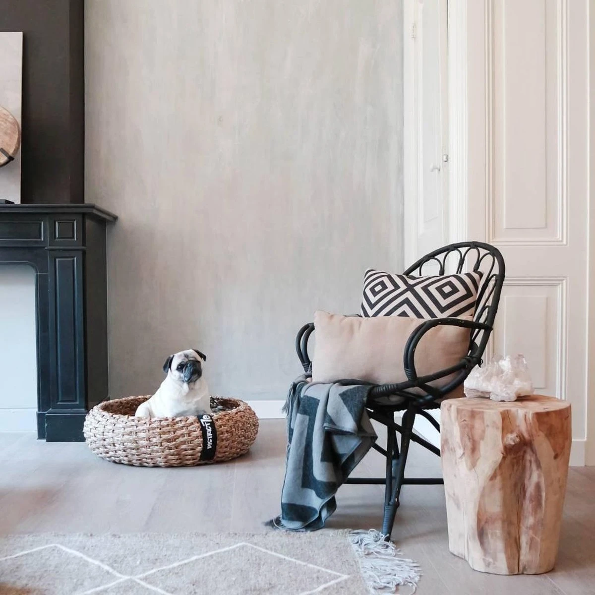 District 70 COCOON - Luxe Hondenmand Van Duurzaam Hoogwaardig Riet Met Zacht Kussen - Maten S/M/L - Large 5 District 70 COCOON - Luxe Hondenmand Van Duurzaam Hoogwaardig Riet Met Zacht Kussen - Maten S/M/L - Large - Afbeelding 3