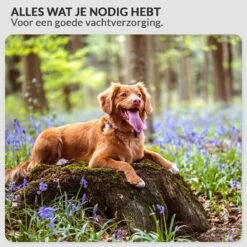 Hondenföhn/Waterblazer - Verstelbare Vermogen Standen (500W Tot 2400W) En Verstelbare Temperatuur - Zwart -Hondenserie Winkel 1200x1200 1011