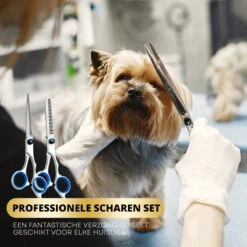 BeautyFit - 16-delig Hondentondeuse Set - Professionele Honden Trimset - Dieren Tondeuse Voor Dikke Vacht - Meest Complete Set - Inclusief 4 Opzetkammen - Hondenschaar - Mist Verstuiver - Handschoen Borstel - Nagelknipper 15 BeautyFit - 16-delig Hondentondeuse Set - Professionele Honden Trimset - Dieren Tondeuse Voor Dikke Vacht - Meest Complete Set - Inclusief 4 Opzetkammen - Hondenschaar - Mist Verstuiver - Handschoen Borstel - Nagelknipper -Hondenserie Winkel 1200x1200 1024