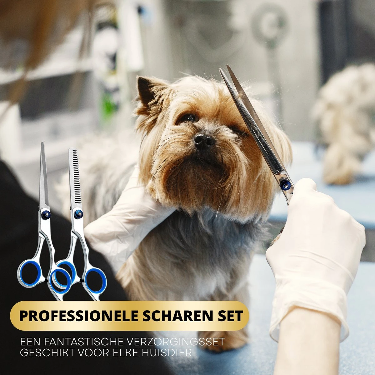 BeautyFit - 16-delig Hondentondeuse Set - Professionele Honden Trimset - Dieren Tondeuse Voor Dikke Vacht - Meest Complete Set - Inclusief 4 Opzetkammen - Hondenschaar - Mist Verstuiver - Handschoen Borstel - Nagelknipper 8 BeautyFit - 16-delig Hondentondeuse Set - Professionele Honden Trimset - Dieren Tondeuse Voor Dikke Vacht - Meest Complete Set - Inclusief 4 Opzetkammen - Hondenschaar - Mist Verstuiver - Handschoen Borstel - Nagelknipper - Afbeelding 6