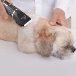 Tjilla Professionele Dieren/honden Tondeuse Set Extra Krachtig - Honden Trimmer - Lang Of Kortharige Huisdieren Katten & Honden - Draadloos - Weinig Geluid -Hondenserie Winkel 1200x1200 1031