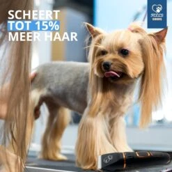 YE™ Professionele Dieren/honden Tondeuse Set Extra Krachtig - Honden Trimmer - Lang Of Kortharige Huisdieren Katten & Honden - Draadloos - Weinig Geluid 12 YE™ Professionele Dieren/honden Tondeuse Set Extra Krachtig - Honden Trimmer - Lang Of Kortharige Huisdieren Katten & Honden - Draadloos - Weinig Geluid -Hondenserie Winkel 1200x1200 1036