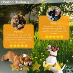 AVE Pets® Complete Hondentondeuse Set - Draadloos Tondeuse - Scheerapparaat Voor Je Hond Of Kat - Huisdier Trimmer - Professionele Dierentondeuse - Dieren Verzorging -Hondenserie Winkel 1200x1200 1045