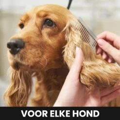 Hondentondeuse - Honden & Katten - Trimmer - Geluidsloos 12 Hondentondeuse - Honden & Katten - Trimmer - Geluidsloos -Hondenserie Winkel 1200x1200 1050