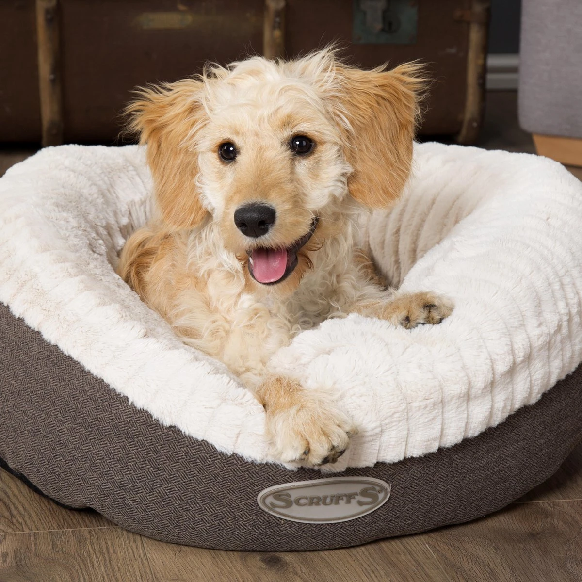 Scruffs Ellen Donut - Warme Hondenmand Van Imitatiebont - Kleur Grijs, Roze Of Bruin - Maat M Of L - Kleur: Grijs, Maat: Medium 10 Scruffs Ellen Donut - Warme Hondenmand Van Imitatiebont - Kleur Grijs, Roze Of Bruin - Maat M Of L - Kleur: Grijs, Maat: Medium - Afbeelding 8