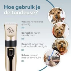 BYER Professionele Dieren Tondeuse Set - Voor Huisdieren Katten & Honden - Draadloos - Oplaadbare Pet Trimmer - Dog Tondeuze Clipper - 5 Standen & Vier Opzetkammen - Low Noise -Hondenserie Winkel 1200x1200 1061