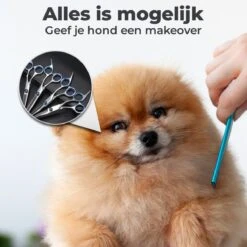 VoordeelShop 7-Delige Huisdier Knipset Met Etui - Trimmen Hond - Honden Schaar - Effileerschaar Hond - Huisdier Trimmer - Huisdier Knippen - Knipschaar Haar - Haar Schaar - Kapper - Kapperset - Scharenset -Hondenserie Winkel 1200x1200 1064