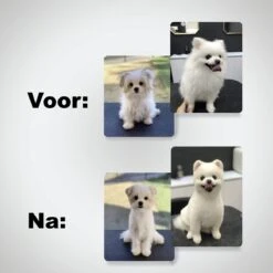 VoordeelShop 7-Delige Huisdier Knipset Met Etui - Trimmen Hond - Honden Schaar - Effileerschaar Hond - Huisdier Trimmer - Huisdier Knippen - Knipschaar Haar - Haar Schaar - Kapper - Kapperset - Scharenset -Hondenserie Winkel 1200x1200 1069