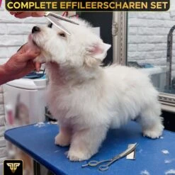 Toivo Schaar Voor Dieren - Zilver - Effileerscharen - Honden Scharenset - Dierenschaar - Set 5 Stuks - Trimscharen - Trimset - Uitdunschaar Hond - Schaar Honden 13 Toivo Schaar Voor Dieren - Zilver - Effileerscharen - Honden Scharenset - Dierenschaar - Set 5 Stuks - Trimscharen - Trimset - Uitdunschaar Hond - Schaar Honden -Hondenserie Winkel 1200x1200 1075