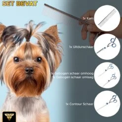 Toivo Schaar Voor Dieren - Zilver - Effileerscharen - Honden Scharenset - Dierenschaar - Set 5 Stuks - Trimscharen - Trimset - Uitdunschaar Hond - Schaar Honden 16 Toivo Schaar Voor Dieren - Zilver - Effileerscharen - Honden Scharenset - Dierenschaar - Set 5 Stuks - Trimscharen - Trimset - Uitdunschaar Hond - Schaar Honden -Hondenserie Winkel 1200x1200 1078
