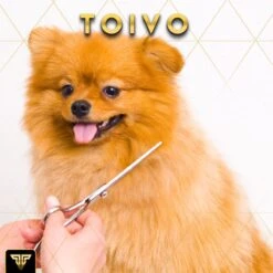 Toivo Schaar Voor Dieren - Zilver - Effileerscharen - Honden Scharenset - Dierenschaar - Set 5 Stuks - Trimscharen - Trimset - Uitdunschaar Hond - Schaar Honden 17 Toivo Schaar Voor Dieren - Zilver - Effileerscharen - Honden Scharenset - Dierenschaar - Set 5 Stuks - Trimscharen - Trimset - Uitdunschaar Hond - Schaar Honden -Hondenserie Winkel 1200x1200 1079