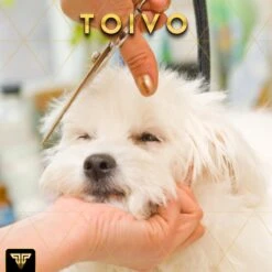 Toivo Schaar Voor Dieren - Zilver - Effileerscharen - Honden Scharenset - Dierenschaar - Set 5 Stuks - Trimscharen - Trimset - Uitdunschaar Hond - Schaar Honden 18 Toivo Schaar Voor Dieren - Zilver - Effileerscharen - Honden Scharenset - Dierenschaar - Set 5 Stuks - Trimscharen - Trimset - Uitdunschaar Hond - Schaar Honden -Hondenserie Winkel 1200x1200 1080