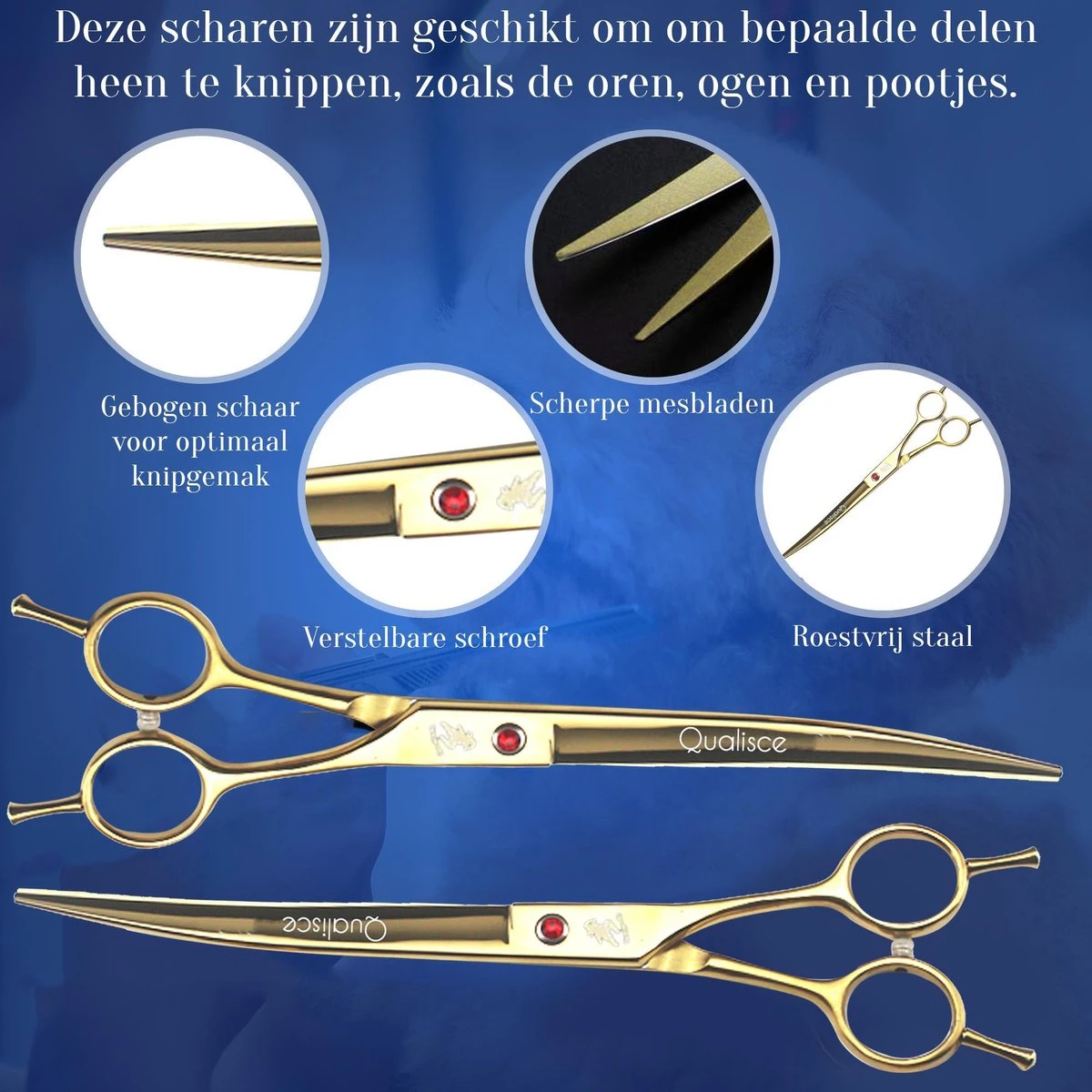 Scharenset Hond - 8-Delige Scharenset - Hondenschaar - Trimset - Trimschaar Voor Honden - Huisdier Knipset - Effileerschaar Hond - Goud 5 Scharenset Hond - 8-Delige Scharenset - Hondenschaar - Trimset - Trimschaar Voor Honden - Huisdier Knipset - Effileerschaar Hond - Goud - Afbeelding 3