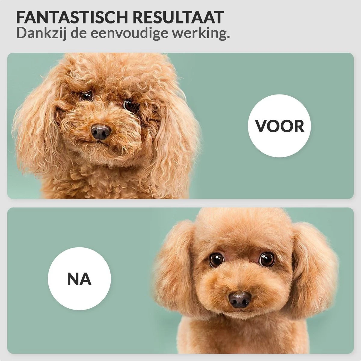 Krachtige Hondenföhn/ Waterblazer Met Draaiknop Om Overtollig Water En Stof Snel Uit De Vacht Te Blazen | Verstelbare Vermogen Standen (500W Tot 2200W) En Verstelbare Temperatuur - Type B Oranje 5 Krachtige Hondenföhn/ Waterblazer Met Draaiknop Om Overtollig Water En Stof Snel Uit De Vacht Te Blazen | Verstelbare Vermogen Standen (500W Tot 2200W) En Verstelbare Temperatuur - Type B Oranje - Afbeelding 3