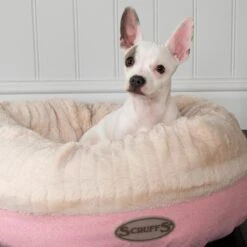 Scruffs Ellen Donut - Warme Hondenmand Van Imitatiebont - Kleur Grijs, Roze Of Bruin - Maat M Of L - Kleur: Grijs, Maat: Medium 34 Scruffs Ellen Donut - Warme Hondenmand Van Imitatiebont - Kleur Grijs, Roze Of Bruin - Maat M Of L - Kleur: Grijs, Maat: Medium -Hondenserie Winkel 1200x1200 110