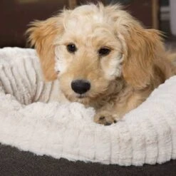 Scruffs Ellen Donut - Warme Hondenmand Van Imitatiebont - Kleur Grijs, Roze Of Bruin - Maat M Of L - Kleur: Grijs, Maat: Medium 35 Scruffs Ellen Donut - Warme Hondenmand Van Imitatiebont - Kleur Grijs, Roze Of Bruin - Maat M Of L - Kleur: Grijs, Maat: Medium -Hondenserie Winkel 1200x1200 111