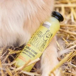 Greenfields Hondenshampoo Voor Langharige Vacht - Zorgt Voor Een Zijdezachte Glanzende Vacht - Inhoud 270 Ml - Hondenshampoo Langharige Vacht 16 Greenfields Hondenshampoo Voor Langharige Vacht - Zorgt Voor Een Zijdezachte Glanzende Vacht - Inhoud 270 Ml - Hondenshampoo Langharige Vacht -Hondenserie Winkel 1200x1200 1144