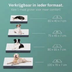 Hondenserie Winkel -Hondenserie Winkel 1200x1200 115