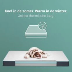 CozySense® - Orthopedisch Hondenkussen - Hondenkussen 60 X 40 Cm - Ook Geschikt Als Benchkussen & Hondenbed - Hondenkussen Bank - Traagschuim - Waterdicht - Wasbare Hoes - Maat S 13 CozySense® - Orthopedisch Hondenkussen - Hondenkussen 60 X 40 Cm - Ook Geschikt Als Benchkussen & Hondenbed - Hondenkussen Bank - Traagschuim - Waterdicht - Wasbare Hoes - Maat S -Hondenserie Winkel 1200x1200 117