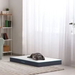 CozySense® - Orthopedisch Hondenkussen - Hondenkussen 60 X 40 Cm - Ook Geschikt Als Benchkussen & Hondenbed - Hondenkussen Bank - Traagschuim - Waterdicht - Wasbare Hoes - Maat S 15 CozySense® - Orthopedisch Hondenkussen - Hondenkussen 60 X 40 Cm - Ook Geschikt Als Benchkussen & Hondenbed - Hondenkussen Bank - Traagschuim - Waterdicht - Wasbare Hoes - Maat S -Hondenserie Winkel 1200x1200 119