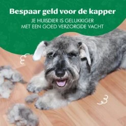 Mister Mill 2 Zijdige Ondervacht Kam Plus Slicker Borstel - Honden/Katten Kam - Voordeel Set 36 Mister Mill 2 Zijdige Ondervacht Kam Plus Slicker Borstel - Honden/Katten Kam - Voordeel Set -Hondenserie Winkel 1200x1200 1190