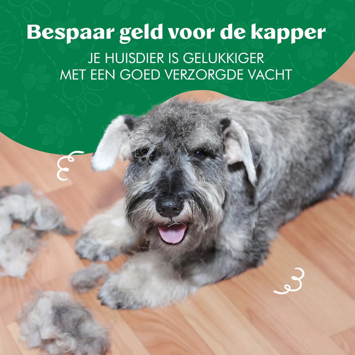 Mister Mill 2 Zijdige Ondervacht Kam Plus Slicker Borstel - Honden/Katten Kam - Voordeel Set 17 Mister Mill 2 Zijdige Ondervacht Kam Plus Slicker Borstel - Honden/Katten Kam - Voordeel Set - Afbeelding 15