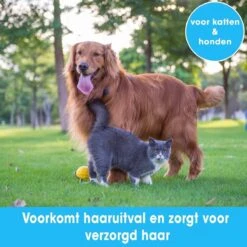 Professionele Ondervacht Kam Voor Hond En Kat S – Hondenborstel – Kattenborstel - Hondenkam –Anti Klit - Haarverwijderaar Voor Huisdieren - Pijnloos - Huisdiervriendelijk – Klittenkam - Voorkomt Haaruitval - Kleine Variant- Black Friday - Sinterklaas 9 Professionele Ondervacht Kam Voor Hond En Kat S – Hondenborstel – Kattenborstel - Hondenkam –Anti Klit - Haarverwijderaar Voor Huisdieren - Pijnloos - Huisdiervriendelijk – Klittenkam - Voorkomt Haaruitval - Kleine Variant- Black Friday - Sinterklaas -Hondenserie Winkel 1200x1200 1196