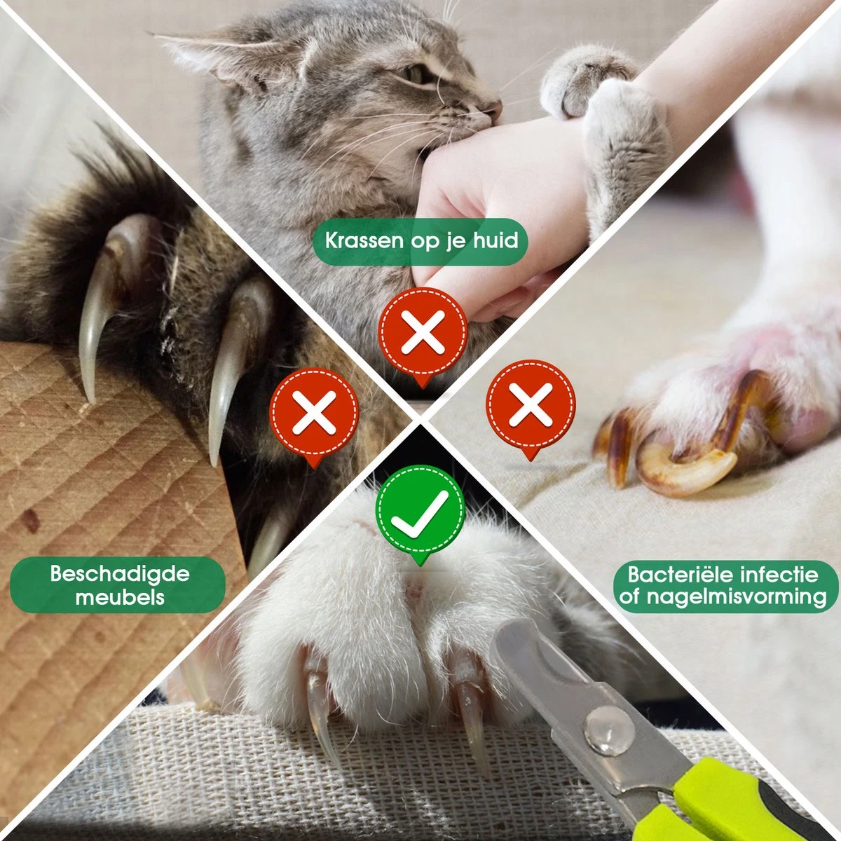 Mister Mill Nagelknipper Kat - Nagelschaar - Kleine Hond (Max. 10 Kg.) Vogel En Knaagdier 7 Mister Mill Nagelknipper Kat - Nagelschaar - Kleine Hond (Max. 10 Kg.) Vogel En Knaagdier - Afbeelding 5