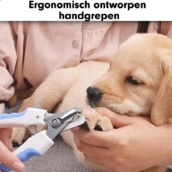 Professionele Nagelschaar|Nagelschaar Hond | Nagelschaar Kat| Nagelknipper Hond En Kat| Nagelknipper Kat| Nagelknipper Hond|NagelTang Dieren|Poot Verzorging 15 Professionele Nagelschaar|Nagelschaar Hond | Nagelschaar Kat| Nagelknipper Hond En Kat| Nagelknipper Kat| Nagelknipper Hond|NagelTang Dieren|Poot Verzorging -Hondenserie Winkel 1200x1200 1264