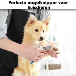 Professionele Nagelschaar|Nagelschaar Hond | Nagelschaar Kat| Nagelknipper Hond En Kat| Nagelknipper Kat| Nagelknipper Hond|NagelTang Dieren|Poot Verzorging 17 Professionele Nagelschaar|Nagelschaar Hond | Nagelschaar Kat| Nagelknipper Hond En Kat| Nagelknipper Kat| Nagelknipper Hond|NagelTang Dieren|Poot Verzorging -Hondenserie Winkel 1200x1200 1266