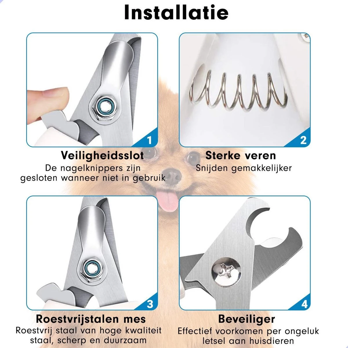 Professionele Nagelschaar|Nagelschaar Hond | Nagelschaar Kat| Nagelknipper Hond En Kat| Nagelknipper Kat| Nagelknipper Hond|NagelTang Dieren|Poot Verzorging 9 Professionele Nagelschaar|Nagelschaar Hond | Nagelschaar Kat| Nagelknipper Hond En Kat| Nagelknipper Kat| Nagelknipper Hond|NagelTang Dieren|Poot Verzorging - Afbeelding 7