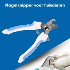 Professionele Nagelschaar|Nagelschaar Hond | Nagelschaar Kat| Nagelknipper Hond En Kat| Nagelknipper Kat| Nagelknipper Hond|NagelTang Dieren|Poot Verzorging 23 Professionele Nagelschaar|Nagelschaar Hond | Nagelschaar Kat| Nagelknipper Hond En Kat| Nagelknipper Kat| Nagelknipper Hond|NagelTang Dieren|Poot Verzorging -Hondenserie Winkel 1200x1200 1271