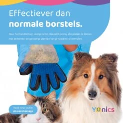 YUNICS® Dieren Handschoen - Haarverwijderaar Voor Huisdieren - Kattenborstel - Hondenborstel - Hondenkam - Kattenhaarverwijderaar - Blauw 9 YUNICS® Dieren Handschoen - Haarverwijderaar Voor Huisdieren - Kattenborstel - Hondenborstel - Hondenkam - Kattenhaarverwijderaar - Blauw -Hondenserie Winkel 1200x1200 1276
